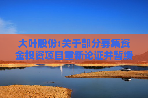 大叶股份:关于部分募集资金投资项目重新论证并暂缓实施的公告  第1张