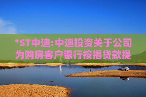 *ST中迪:中迪投资关于公司为购房客户银行按揭贷款提供阶段性担保的事项的公告