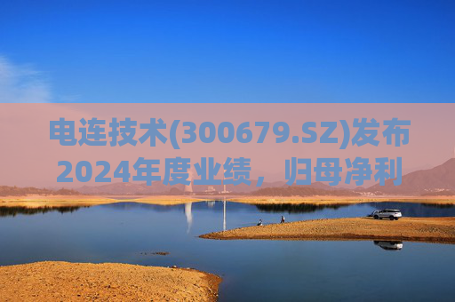 电连技术(300679.SZ)发布2024年度业绩，归母净利润6.22亿元，同比增长74.73%