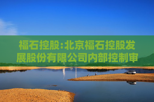 福石控股:北京福石控股发展股份有限公司内部控制审计报告