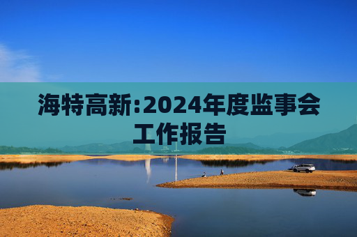 海特高新:2024年度监事会工作报告