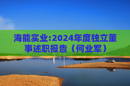 海能实业:2024年度独立董事述职报告（何业军）