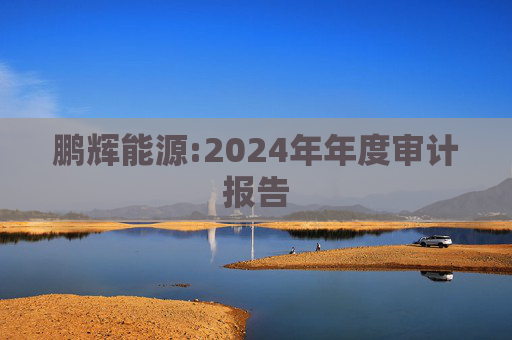 鹏辉能源:2024年年度审计报告