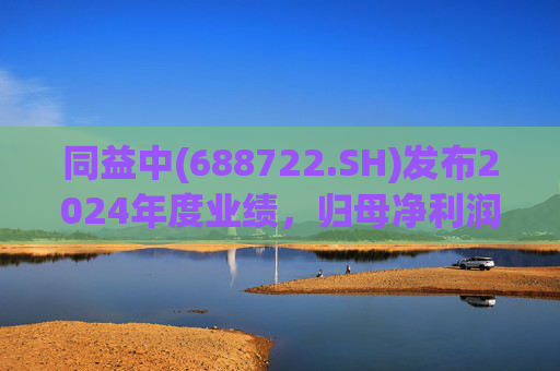 同益中(688722.SH)发布2024年度业绩，归母净利润1.3亿元，同比下降15.25%  第1张