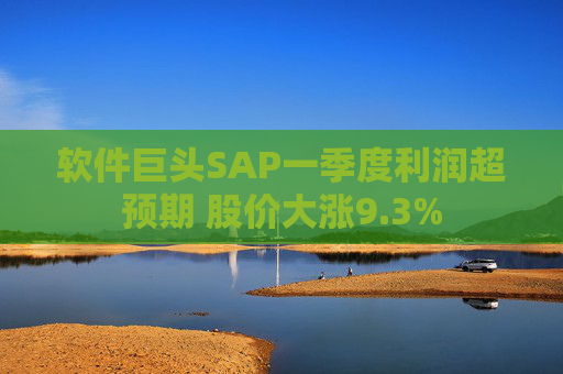 软件巨头SAP一季度利润超预期 股价大涨9.3%