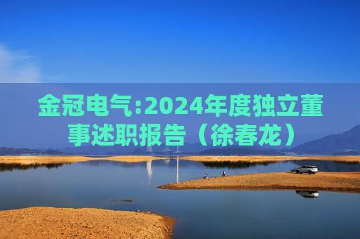 金冠电气:2024年度独立董事述职报告（徐春龙）