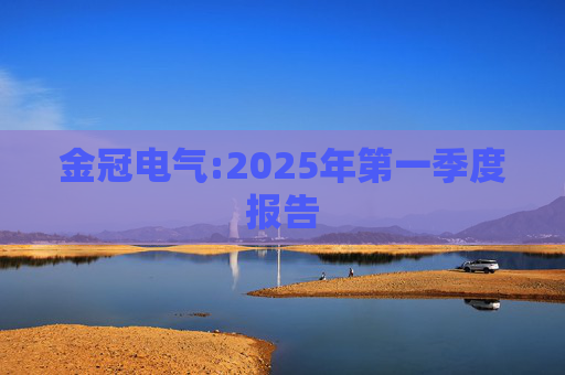 金冠电气:2025年第一季度报告  第1张