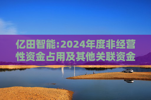 亿田智能:2024年度非经营性资金占用及其他关联资金往来情况的专项报告