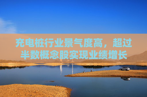 充电桩行业景气度高，超过半数概念股实现业绩增长  第1张