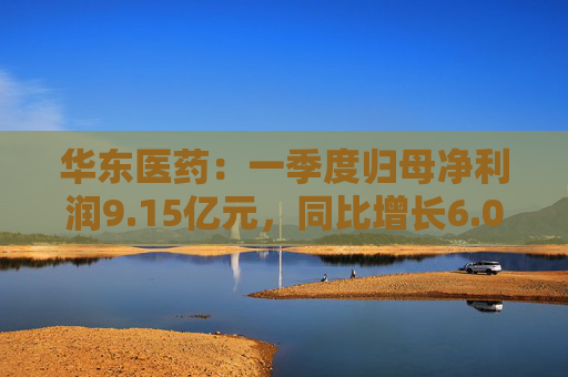 华东医药：一季度归母净利润9.15亿元，同比增长6.06%  第1张
