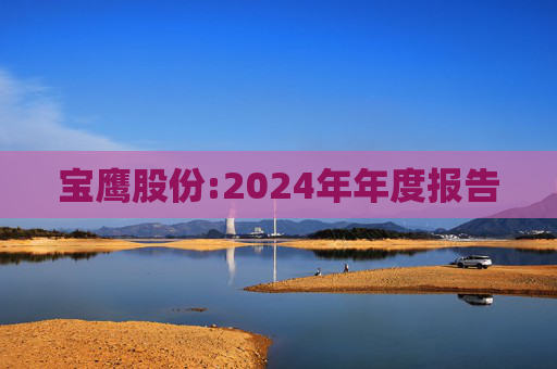 宝鹰股份:2024年年度报告