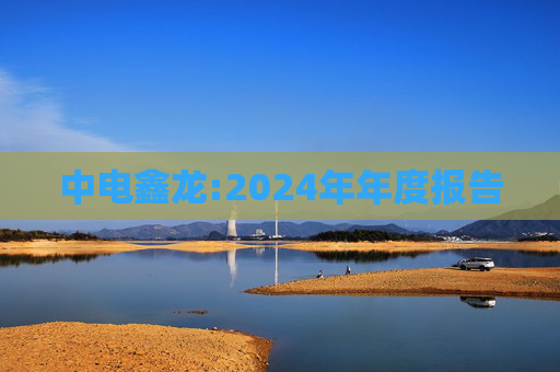 中电鑫龙:2024年年度报告