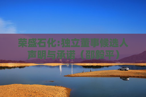 荣盛石化:独立董事候选人声明与承诺（邵毅平）