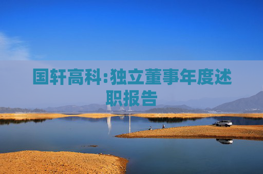 国轩高科:独立董事年度述职报告