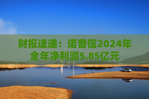 财报速递：诺普信2024年全年净利润5.85亿元