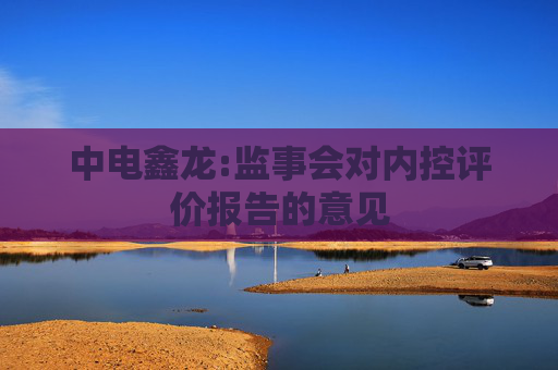 中电鑫龙:监事会对内控评价报告的意见  第1张