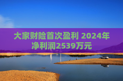 大家财险首次盈利 2024年净利润2539万元  第1张