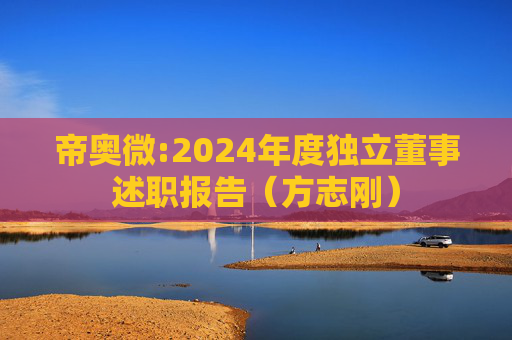 帝奥微:2024年度独立董事述职报告（方志刚）