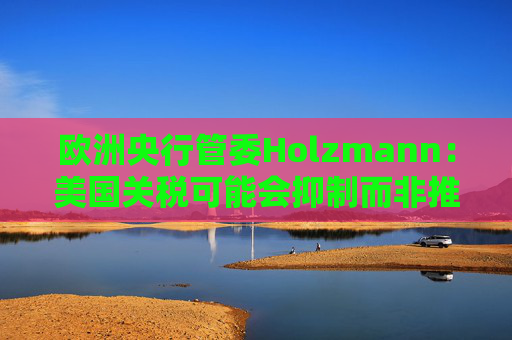 欧洲央行管委Holzmann：美国关税可能会抑制而非推高欧元区通胀
