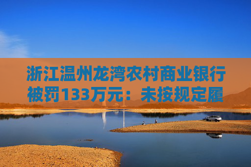 浙江温州龙湾农村商业银行被罚133万元：未按规定履行客户身份识别义务等