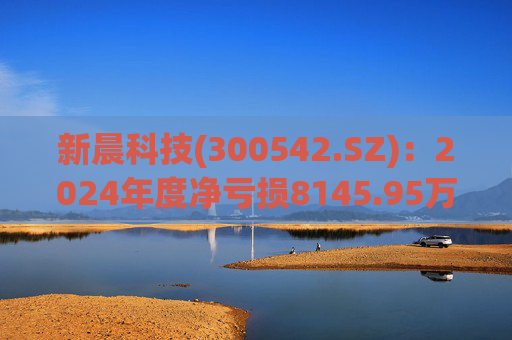 新晨科技(300542.SZ)：2024年度净亏损8145.95万元