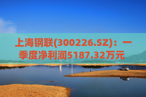 上海钢联(300226.SZ)：一季度净利润5187.32万元 同比增加5.53%  第1张