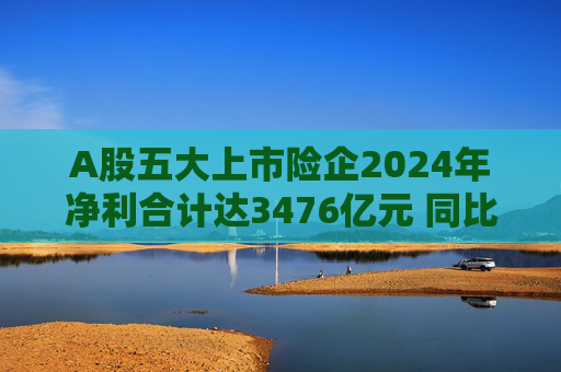 A股五大上市险企2024年净利合计达3476亿元 同比增长近八成  第1张