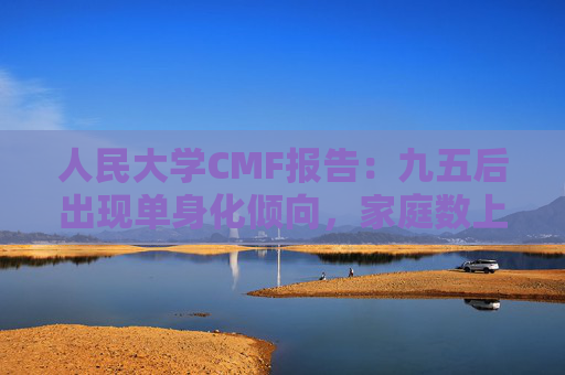 人民大学CMF报告：九五后出现单身化倾向，家庭数上升对基础消费形成支撑