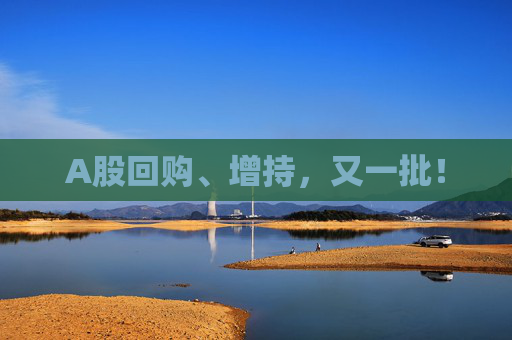 A股回购、增持，又一批！