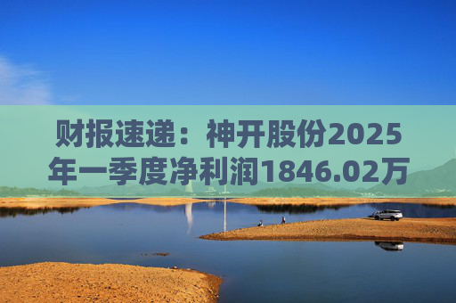 财报速递：神开股份2025年一季度净利润1846.02万元