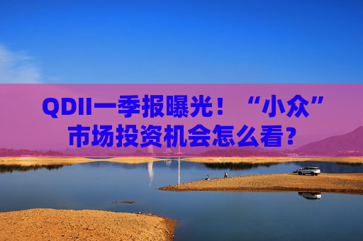 QDII一季报曝光！“小众”市场投资机会怎么看？