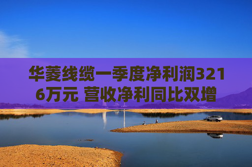 华菱线缆一季度净利润3216万元 营收净利同比双增