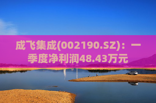 成飞集成(002190.SZ)：一季度净利润48.43万元