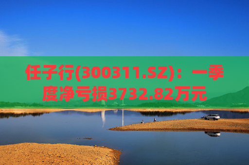 任子行(300311.SZ)：一季度净亏损3732.82万元