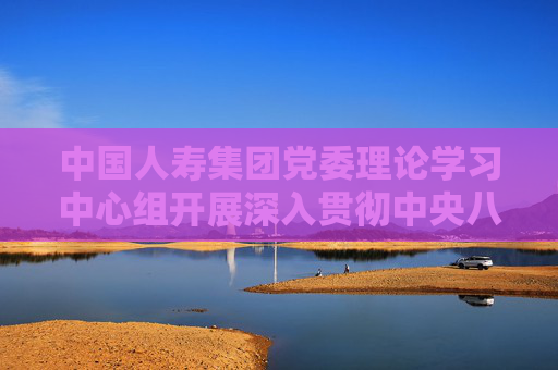 中国人寿集团党委理论学习中心组开展深入贯彻中央八项规定精神学习教育专题研讨交流