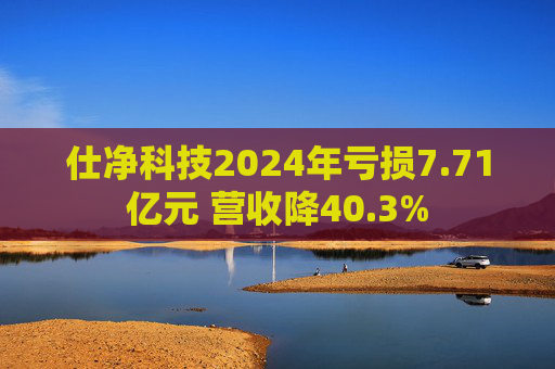 仕净科技2024年亏损7.71亿元 营收降40.3%  第1张