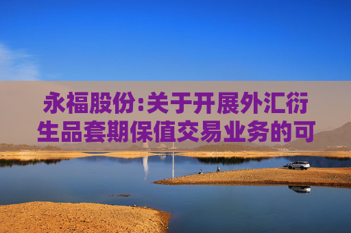 永福股份:关于开展外汇衍生品套期保值交易业务的可行性分析报告