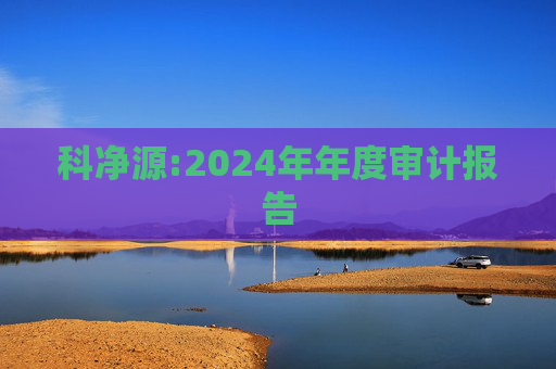 科净源:2024年年度审计报告
