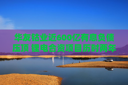 华友钴业近600亿有息负债压顶 锂电合资项目历时两年或被取消  第1张