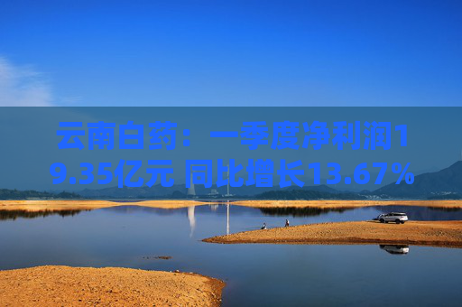 云南白药：一季度净利润19.35亿元 同比增长13.67%  第1张
