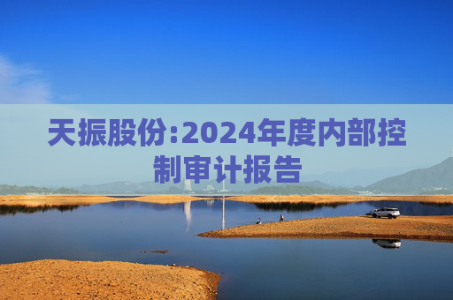 天振股份:2024年度内部控制审计报告