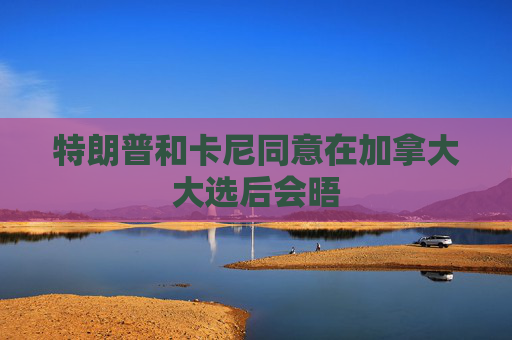 特朗普和卡尼同意在加拿大大选后会晤  第1张