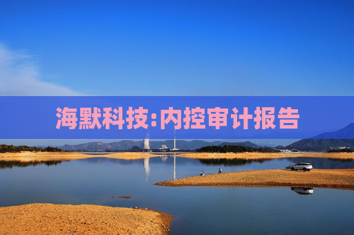 海默科技:内控审计报告