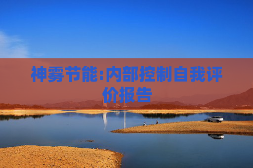 神雾节能:内部控制自我评价报告  第1张