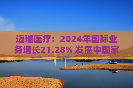 迈瑞医疗：2024年国际业务增长21.28% 发展中国家成重要增长引擎