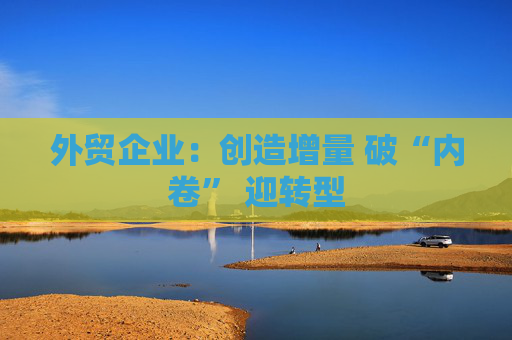 外贸企业：创造增量 破“内卷” 迎转型