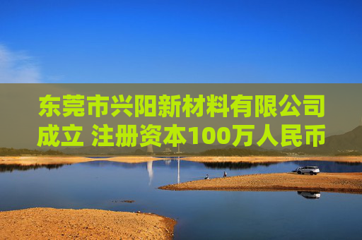 东莞市兴阳新材料有限公司成立 注册资本100万人民币