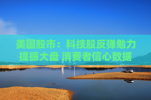 美国股市：科技股反弹勉力提振大盘 消费者信心数据令市场蒙阴