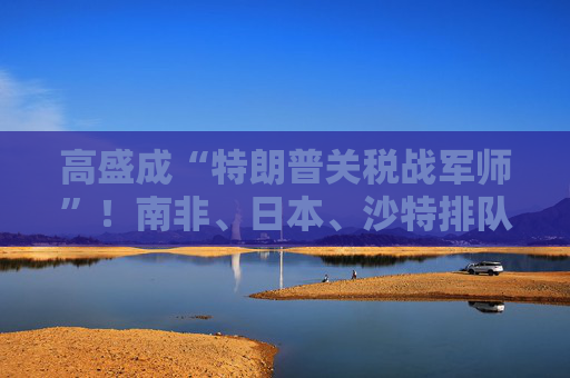 高盛成“特朗普关税战军师”！南非、日本、沙特排队求支招  第1张