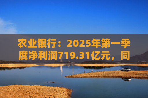 农业银行：2025年第一季度净利润719.31亿元，同比增长2.20%  第1张